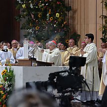 Galeria - Archidiecezja Warszawska/Konferencja Episkopatu Polski/G. Gałązka