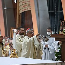 Galeria - Archidiecezja Warszawska/Konferencja Episkopatu Polski/G. Gałązka